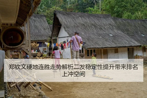 郑钦文硬地连胜走势解析二发稳定性提升带来排名上冲空间